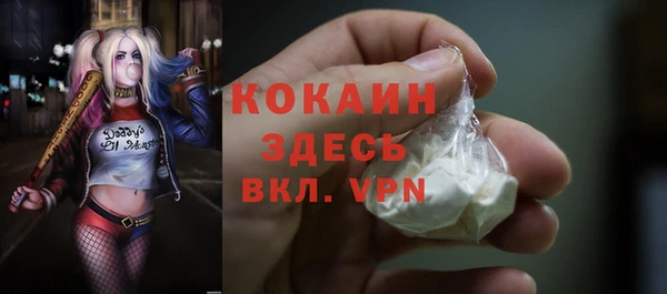 индика Абинск