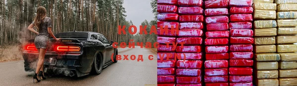 индика Абинск